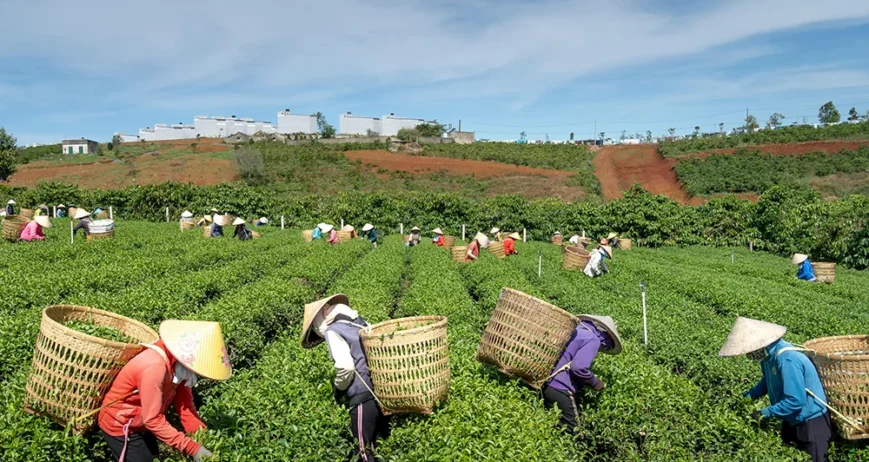 Organic farms avoid toxic inputs, improve soil health, grow clean, sustainable food that supports nature.